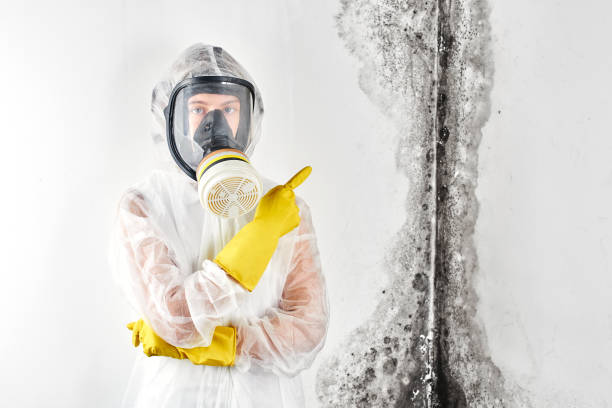 Best Biohazard Mold Removal  in University, FL