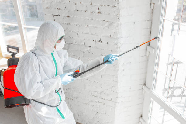 Best Forensic Mold Investigation  in University, FL