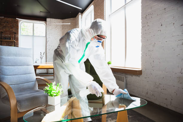 Best Industrial Mold Remediation  in University, FL