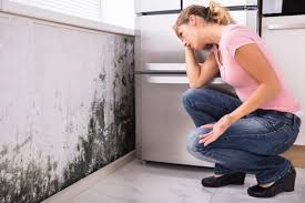 Why you should choose our mold remedi tion services in #city