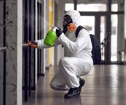 Best Mold Odor Removal Services  in University, FL